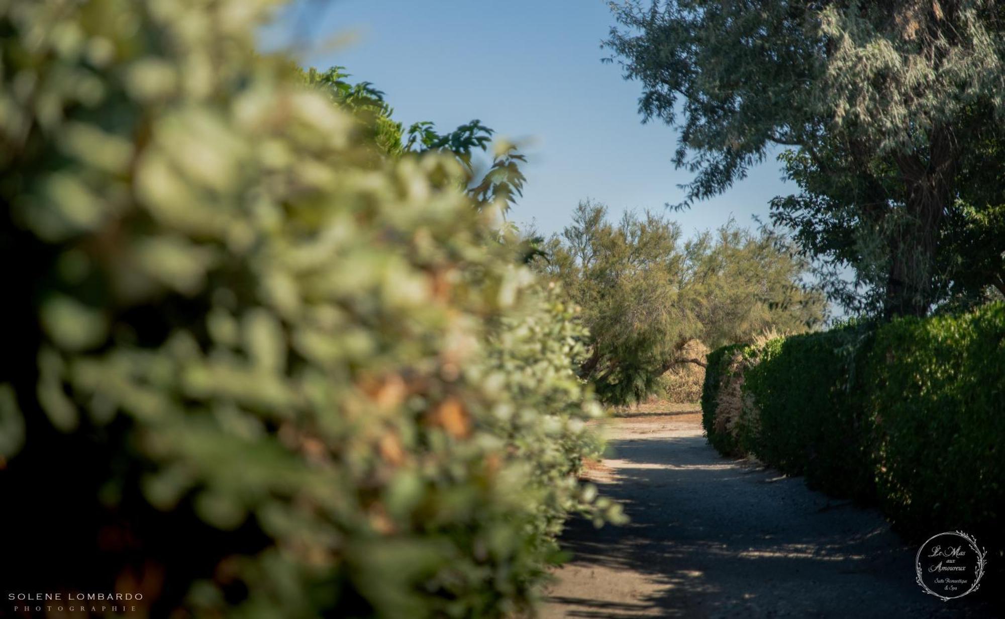 Le Mas Aux Amoureux , Suite Romantique Et Spa Le Barcarès المظهر الخارجي الصورة